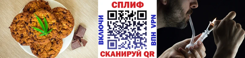 Купить где  Светогорск  Canna-Cookies конопля 