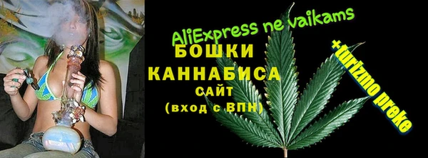 мдма Новозыбков